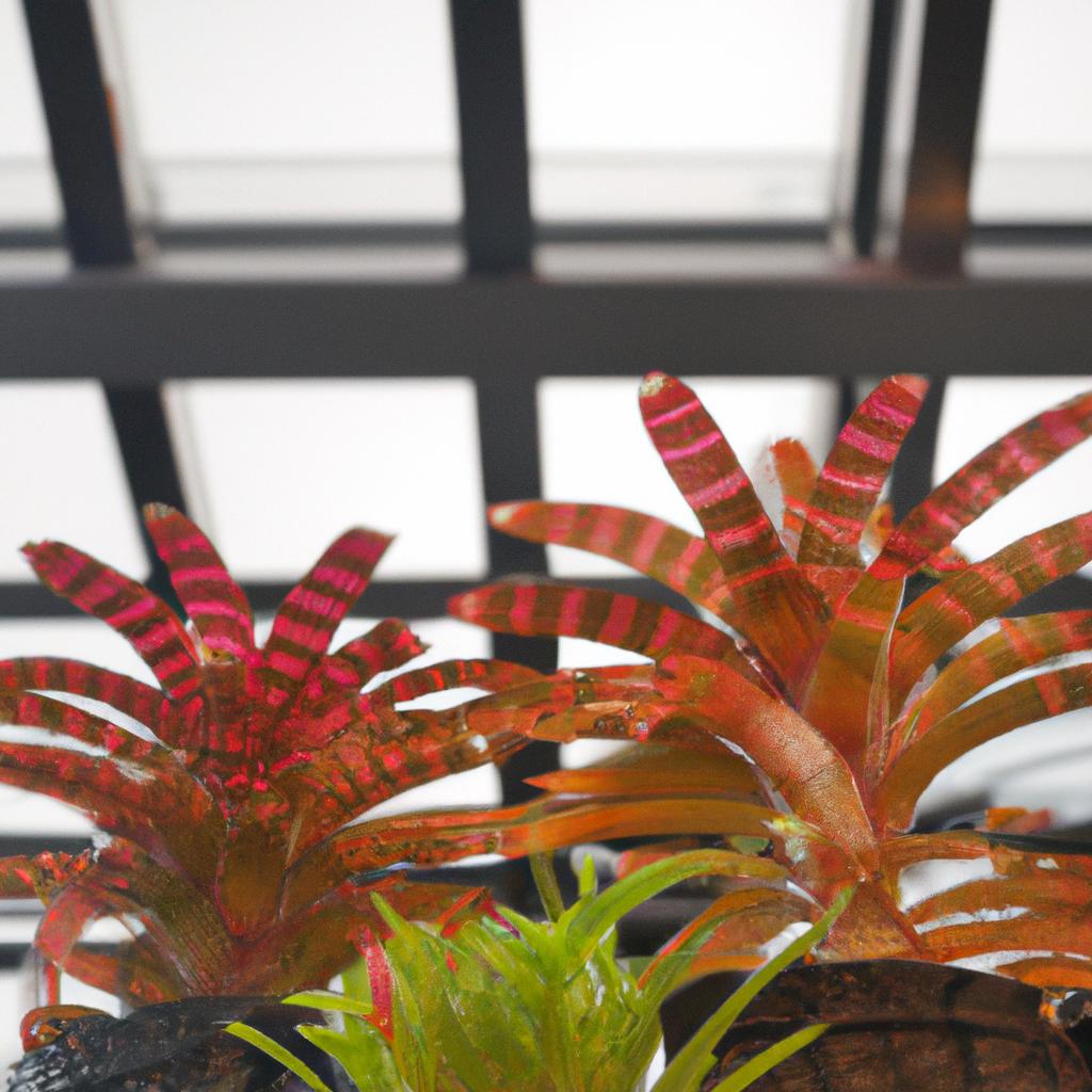 緑と共存する植栽デザイン